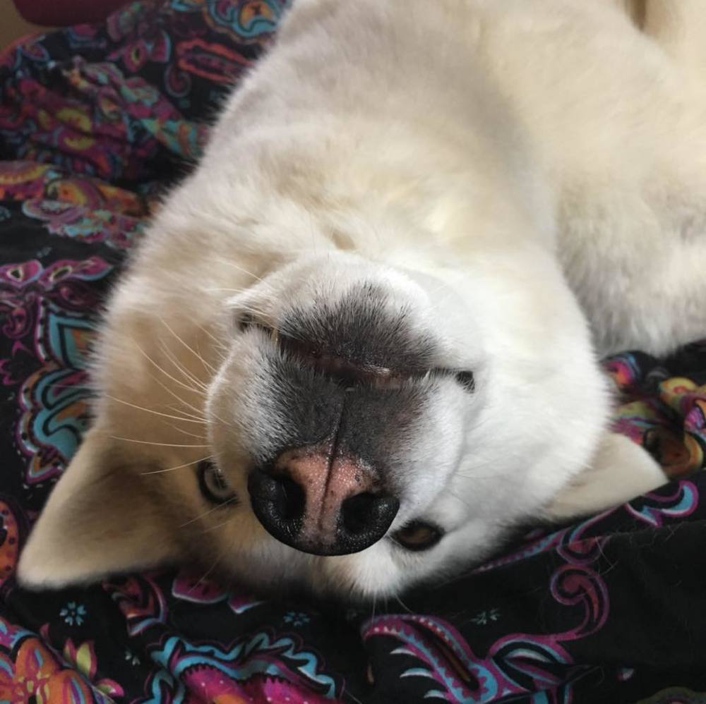 Meet your Posher, Joanne